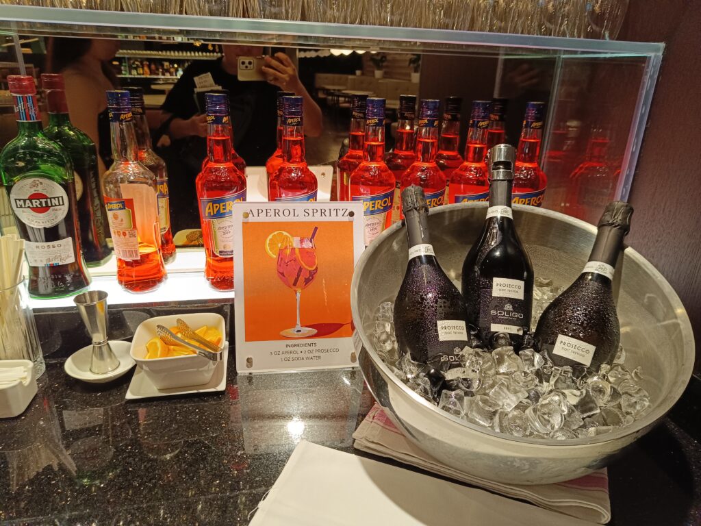 British Airways Lounge, lounge safari