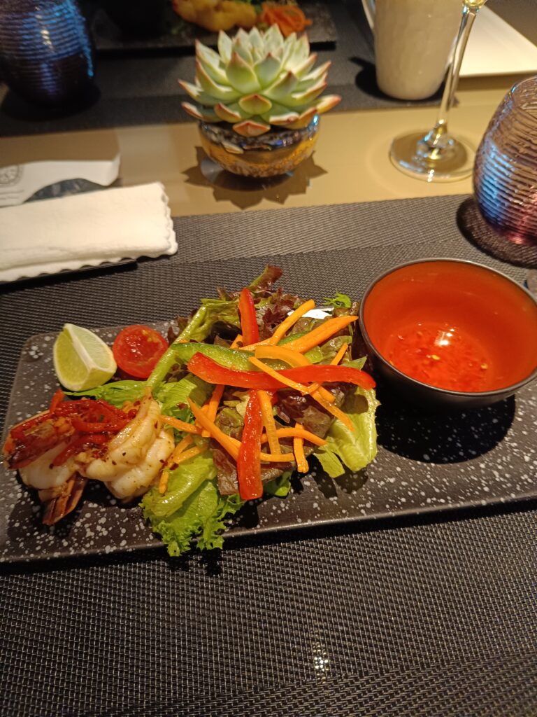 Qatar Premium Lounge, lounge safari